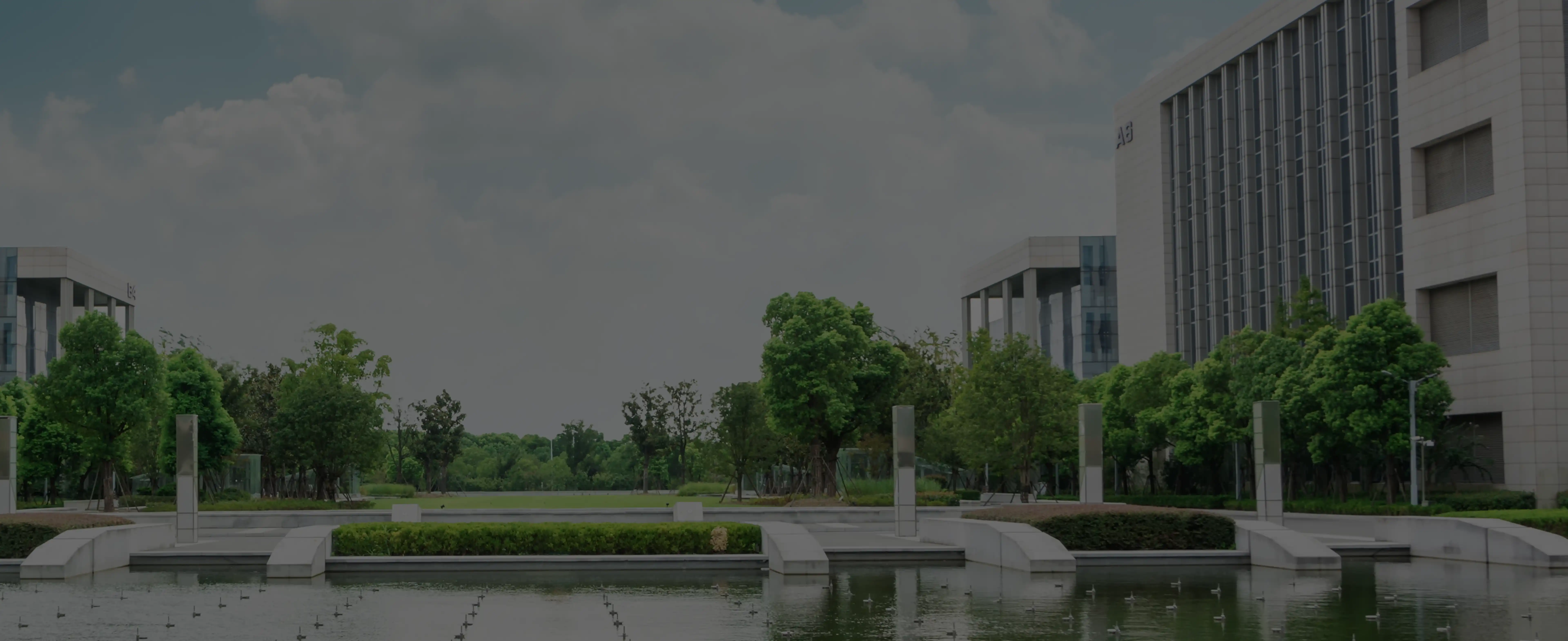 DSEdify IT Training Institute in Bangalore — AI-Powered Courses & Placement Support